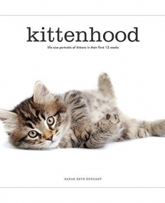 Kittenhood