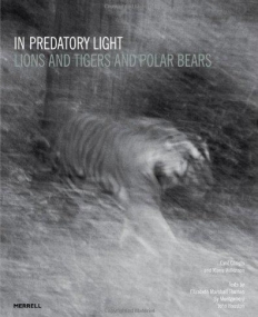 In Predatory Light: Lions and Tigers and Polar Bears