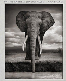 Nick Brandt