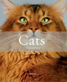 Cats-