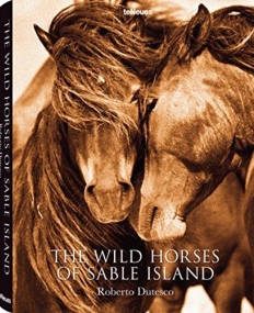 Roberto Dutesco, The Wild Horses of Sable Island, English cover - NEW