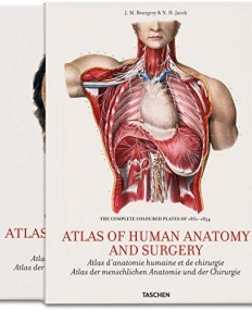 25 Bourgery, Atlas of Anatomy