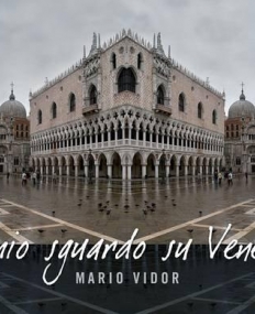 My Glance over Venice-Vidor