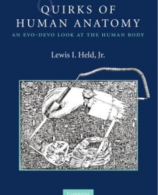QUIRKE OF HUMAN ANATOMY, an EVO-DEVO look at the human