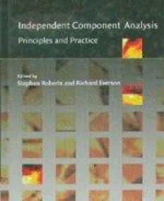 INDEPENDENT COMPONENT ANALYSIS