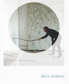 PH., Brice Marden Phaidon Focus