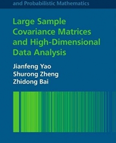 Large Sampel Covariance Matrices and High Dimensional Data Analysis