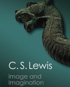 Image & Imagination, essys & review
