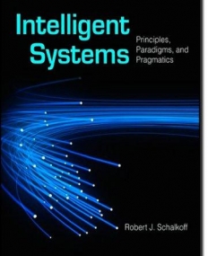 Intelligent Systems: Principles, Paradigms and Pragmatics