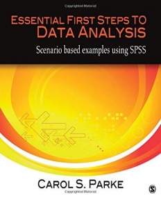Essential First Steps to Data Analysis