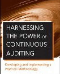 Harnessing the Power of Continuous Auditing: Developing and Implementing a Practical Methodology