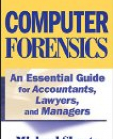 Computer Forensics: An Essential Guide for Accountants, Lawyers, and Managers