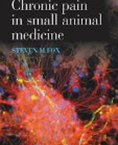 Chronic Pain in Small Animal Medicine