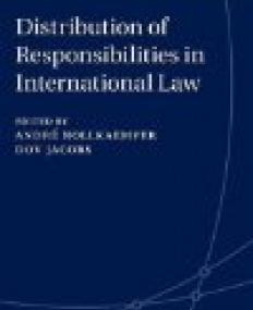 Distribution of Responsibilities in International Law