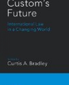 Custom's Future: International Law in a Changing World 