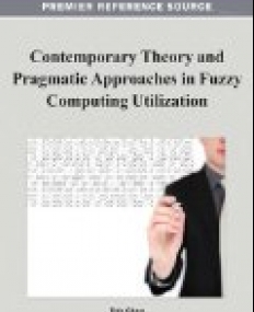 Contemporary Theory and Pragmatic Approaches in Fuzzy Computing Utilization