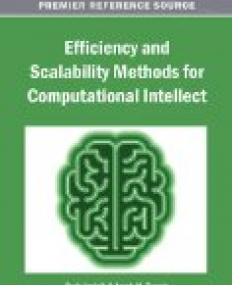 Efficiency and Scalability Methods for Computational Intellect