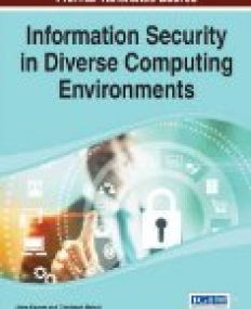 Information Security in Diverse Computing Environments