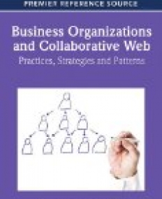 Business Organizations and Collaborative Web: Practices, Strategies and Patterns