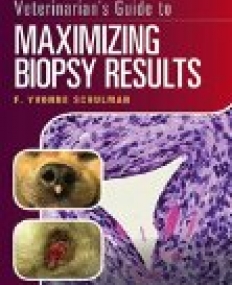 Veterinarian's Guide to Maximizing Biopsy Results