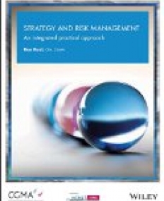 Strategy and Risk Management: An Integrated Practical Approach