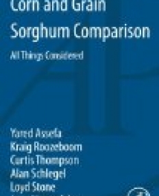 Corn and Grain Sorghum Comparison