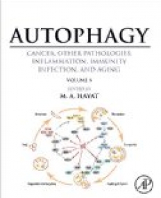 Autophagy: Cancer, Other Pathologies, Inflammation, Immunity, Infection, and Aging