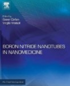 Boron Nitride Nanotubes in Nanomedicine