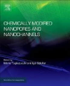 Chemically Modified Nanopores and Nanochannels