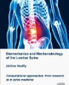 Biomechanics and Mechanobiology of the Lumbar Spine