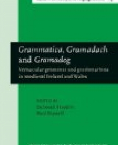 Grammatica, Gramadach and Gramadeg. Vernacular grammar and grammarians in medieval Ireland and Wales.