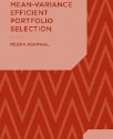 Developments in Mean-Variance Efficient Portfolio Selection