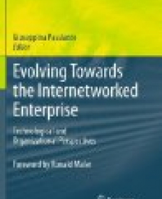 Evolving Towards the Internetworked Enterprise: Technological and Organizational Perspectives