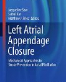 Left Atrial Appendage Closure: Mechanical Approaches to Stroke Prevention in Atrial Fibrillation