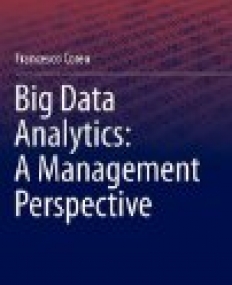 Big Data Analytics: A Management Perspective