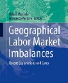 Geographical Labor Market Imbalances: Recent Explanations and Cures