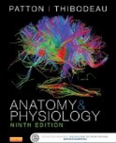 Anatomy & Physiology (includes A&P Online course