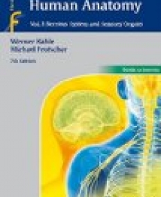 Color Atlas of Human Anatomy, Vol. 3 Nervous System and Sensory Organs