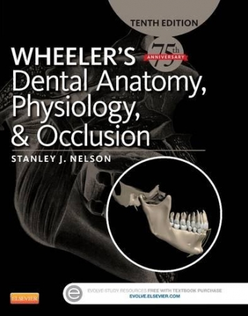 WHEELER'S DENTAL ANATOMY, PHYSIOLOGY AND OCCLUSION, 10TH EDITION