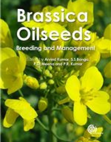 Brassica Oilseeds