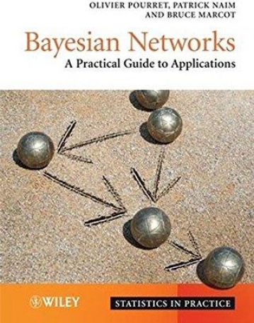 Bayesian Networks: A Practical Guide to Applications