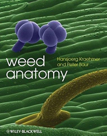 Weed Anatomy