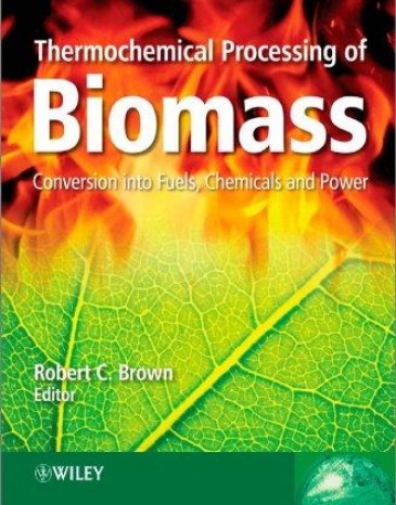 Thermochemical Processing of Biomass: Conversion into Fuels, Chemicals and Power