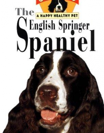 English Springer Spaniel A Happy Healthy Pet