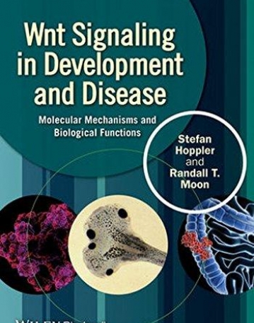 Wnt Signaling in Development and Disease: Molecular Mechanisms and Biological Functions