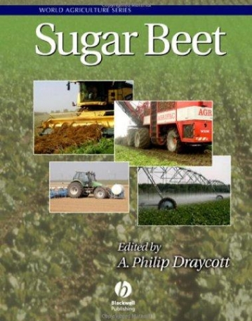 Sugar Beet