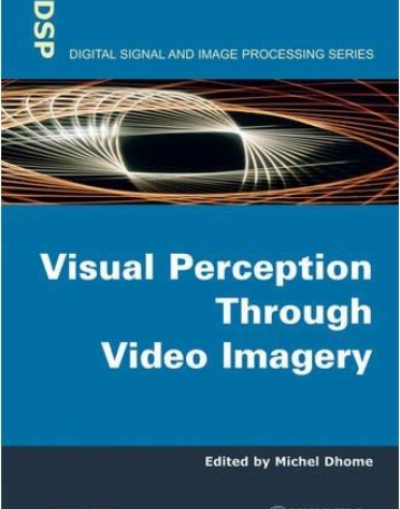 Visual Perception Through Video Imagery