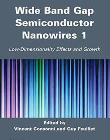 Wide Band Gap Semiconductor Nanowires for Optical Devices: Low-Dimensionality Related Effects and Growth