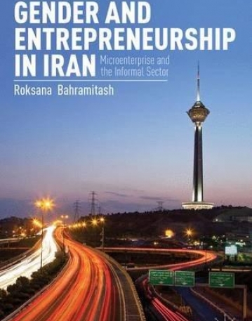 Gender and Entrepreneurship in Iran: Microenterprise and the Informal Sector