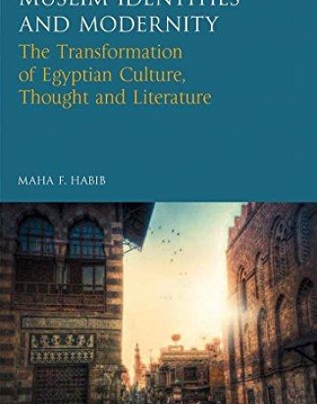 Muslim Identities and Modernity: The Transformation of Egyptian Culture, Thought and Literature (Library of Modern Middle East Studies)